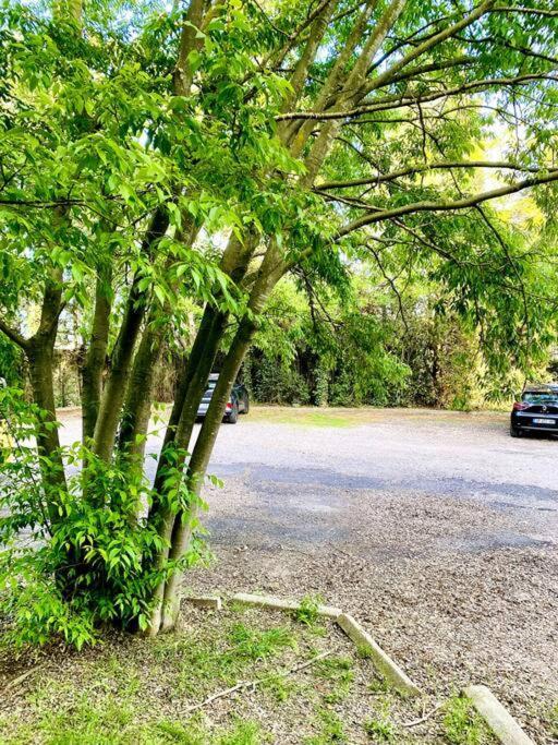 Le Havre De Paix Montpellierain - Terrasse Et Parking Prive Apartment Ngoại thất bức ảnh