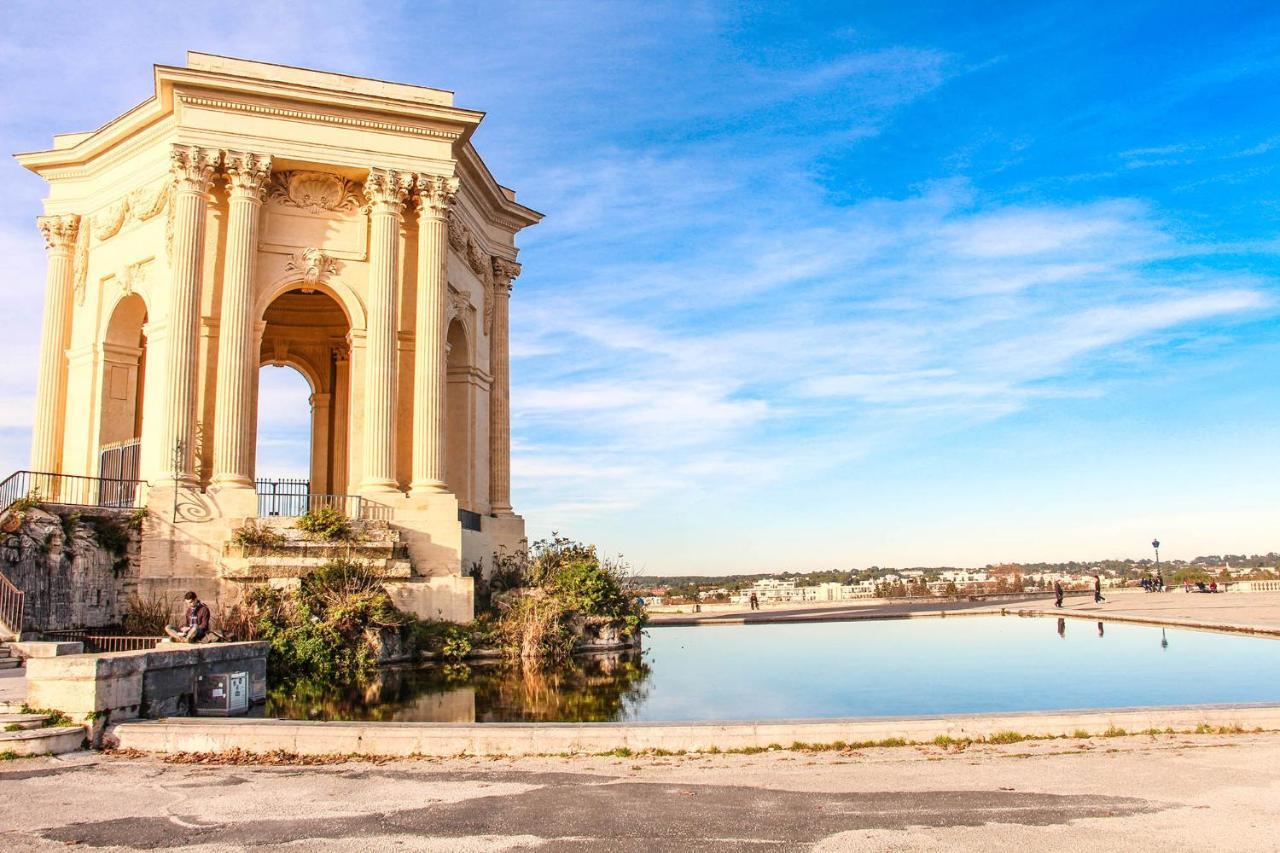 Le Havre De Paix Montpellierain - Terrasse Et Parking Prive Apartment Ngoại thất bức ảnh